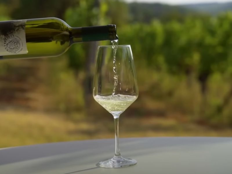 Točenje belog vina u čašu, vinograd u pozadini