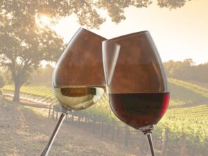 vinograd i čaša sa crnim i belim vinom